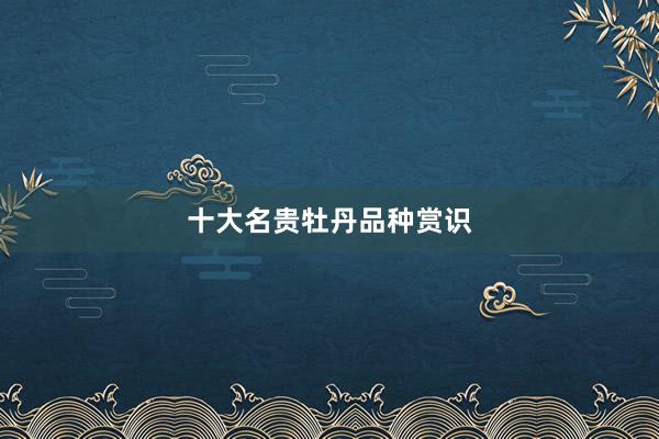 十大名贵牡丹品种赏识
